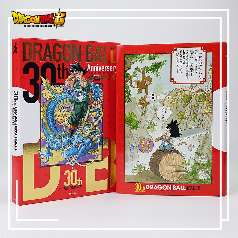Set di Libri d'Arte e Storia D - Stationery Books recensione e prezzo